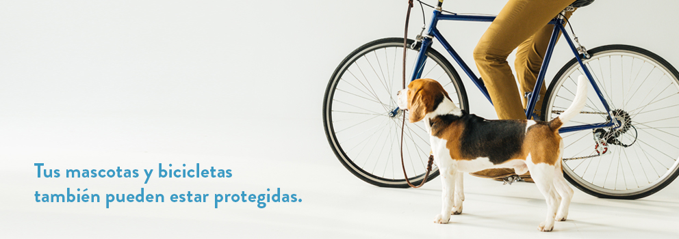 Tus mascotas y bicicletas también pueden estar protegiidas.